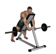 Reverse Row - Incline Barbell Close Grip
